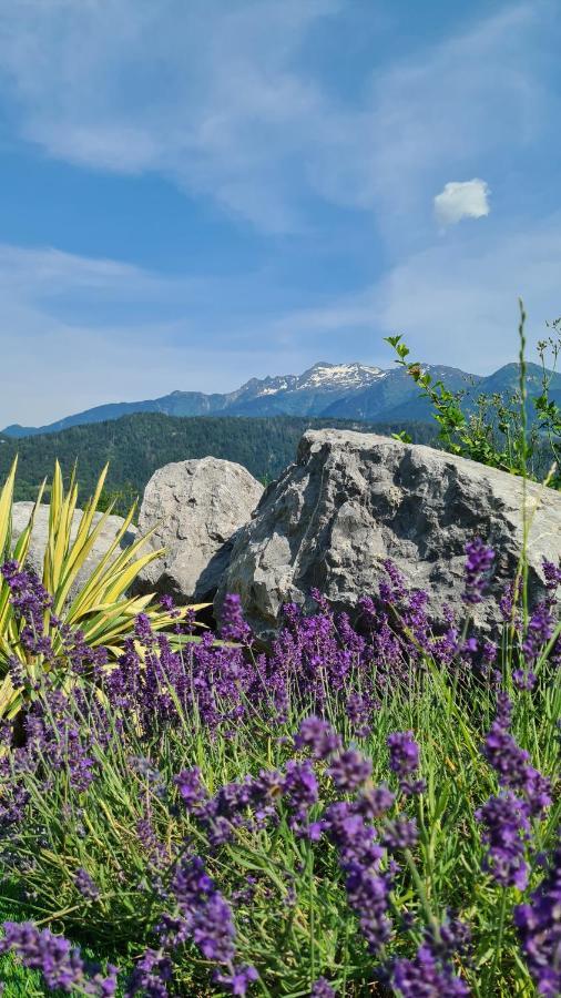 Bed and Breakfast Le Refuge Du Montagnard Marthod Exterior foto